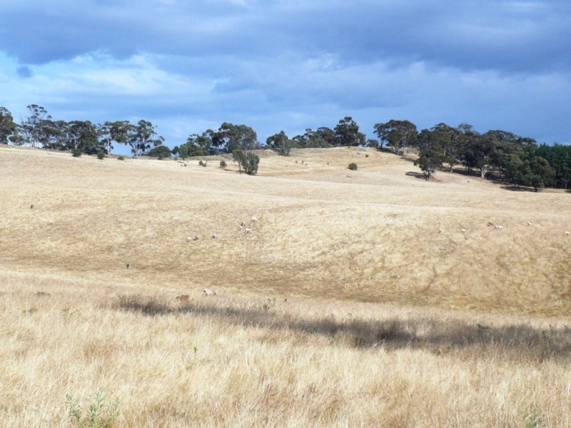 * 112ha Linden Hills 277acs, Wirrabara SA 5481