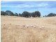 * 112ha Linden Hills 277acs, Wirrabara SA 5481
