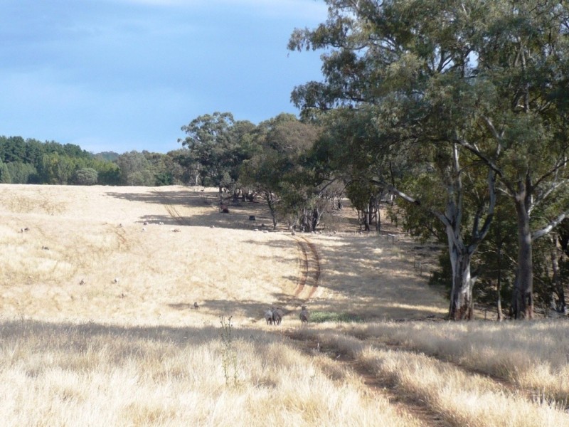 * 112ha Linden Hills 277acs, Wirrabara SA 5481