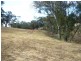 * 112ha Linden Hills 277acs, Wirrabara SA 5481