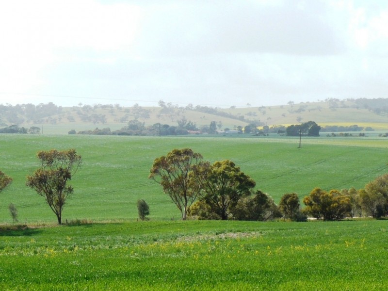 1 8.96ha Boultwood 22acs, Salter Springs SA 5401