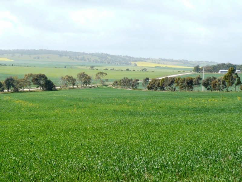 1 8.96ha Boultwood 22acs, Salter Springs SA 5401