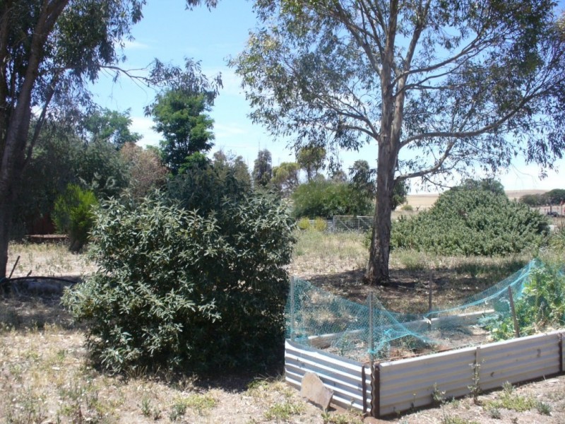 7 Kellett Street, Mount Bryan SA 5418