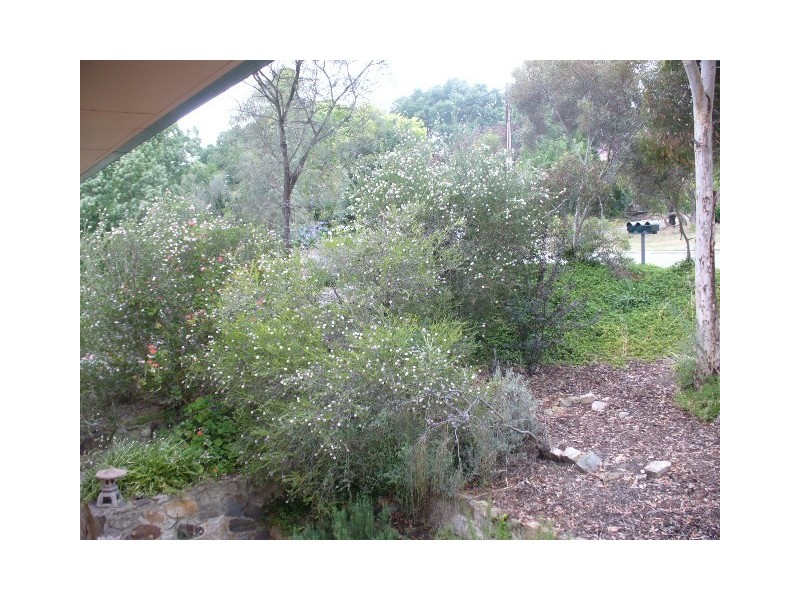 15 Beare Street, Clare SA 5453