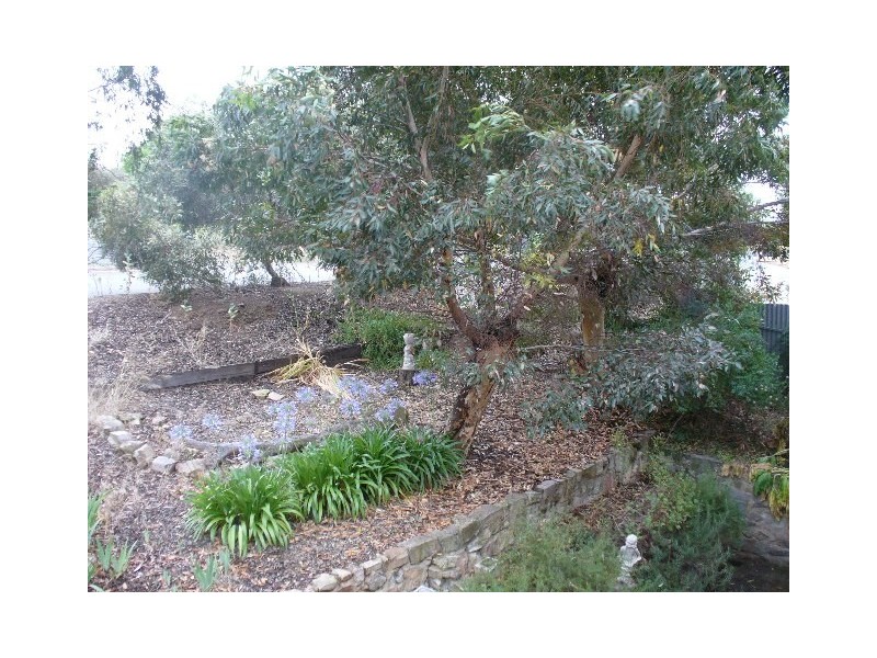 15 Beare Street, Clare SA 5453