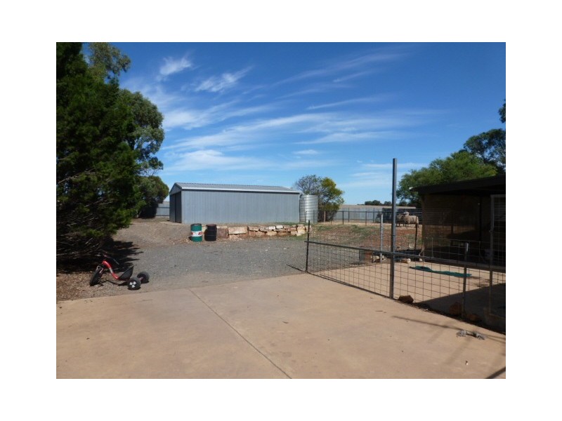 126 Saddleworth Road, Auburn SA 5451