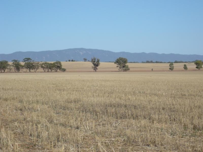 253ha “Fleetwood” 625acs, Booleroo Centre SA 5482