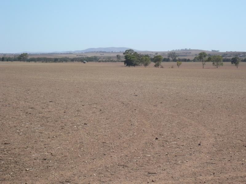253ha “Fleetwood” 625acs, Booleroo Centre SA 5482