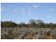 * 9932.5ha “Haylands West”, Morgan SA 5320