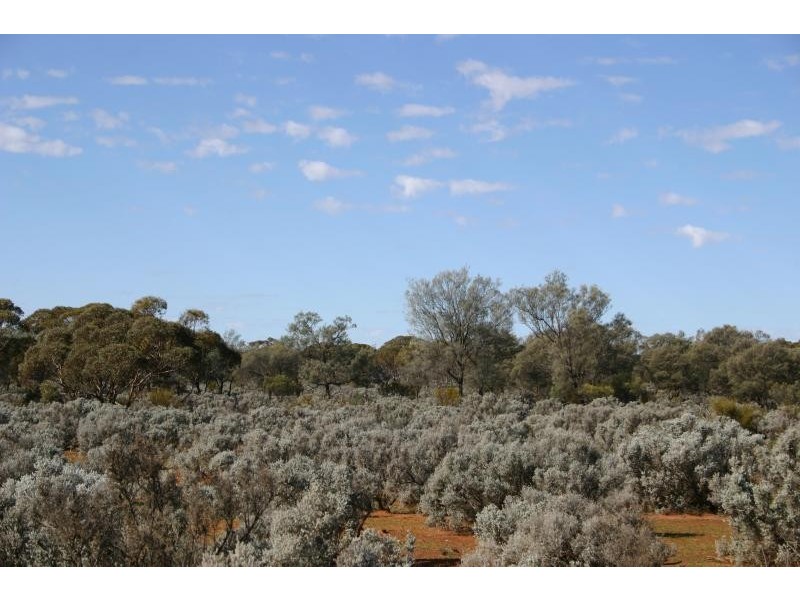 * 9932.5ha “Haylands West”, Morgan SA 5320