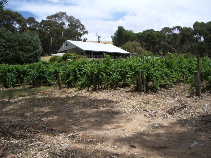 0 Stringy Brae, Sevenhill SA 5453