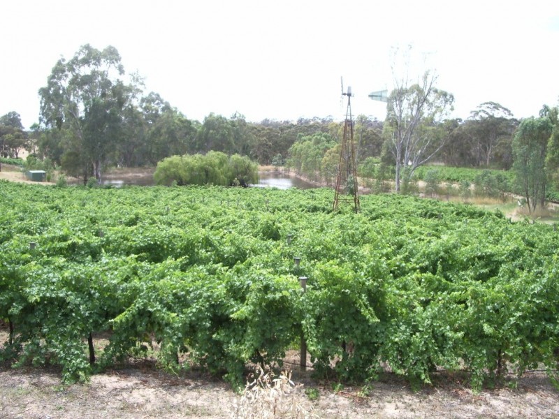 0 Stringy Brae, Sevenhill SA 5453