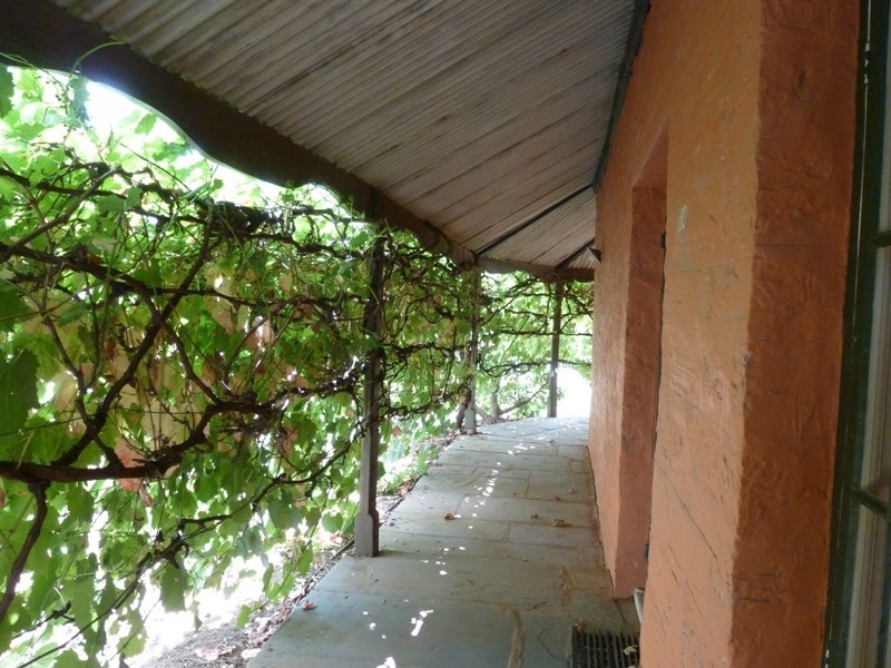 14 South Terrace, Farrell Flat SA 5416