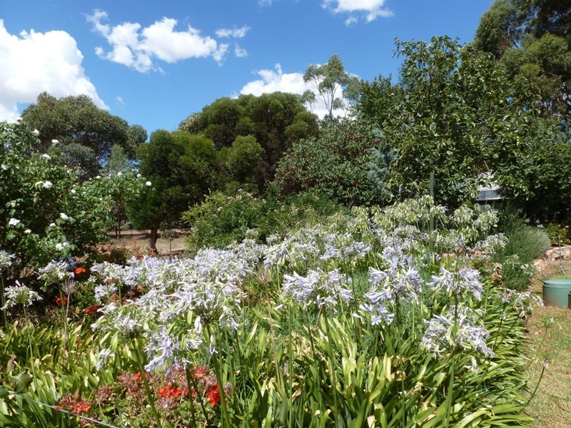 14 South Terrace, Farrell Flat SA 5416