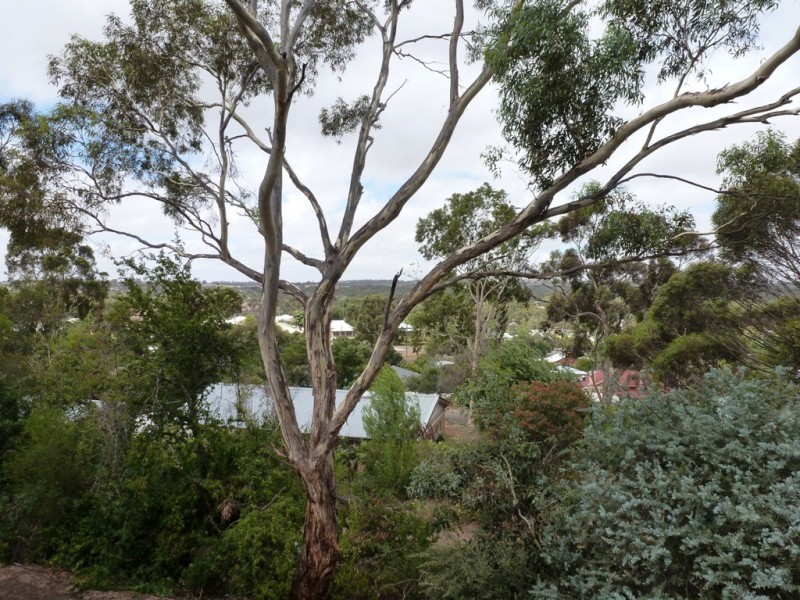 12 Michael Court, Clare SA 5453