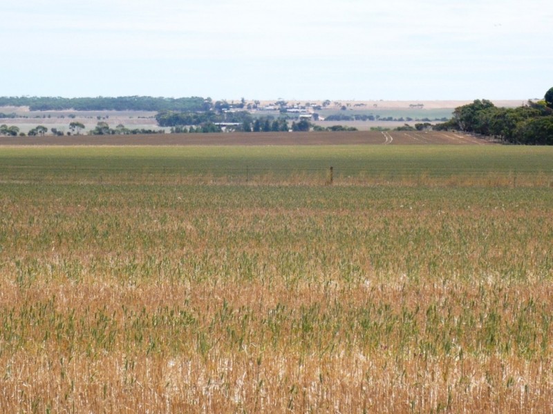 * 113.3ha Section 10  280acs, Maitland SA 5573