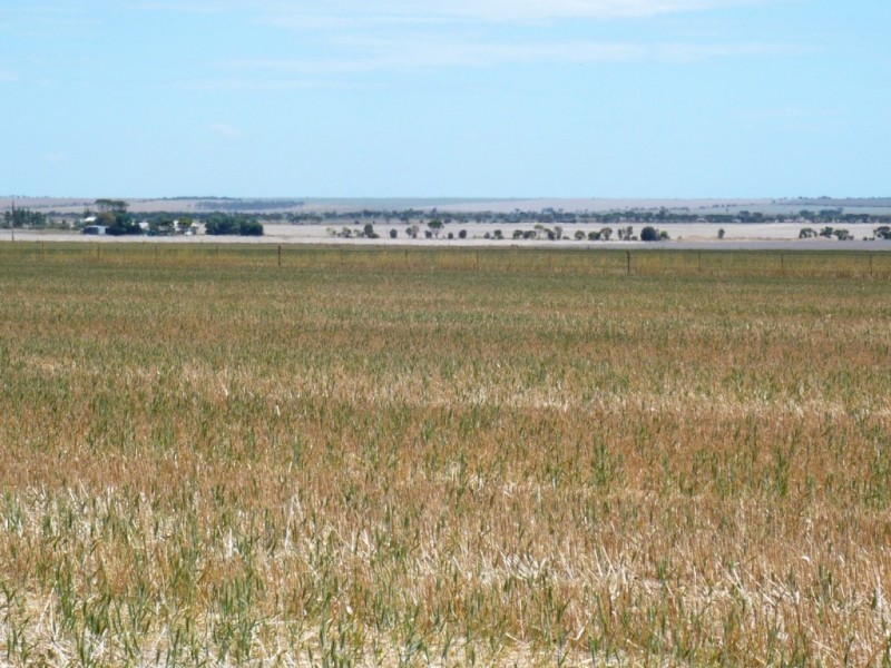 * 113.3ha Section 10  280acs, Maitland SA 5573