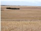 Section 118 Strathneath Rd, Alford SA 5555