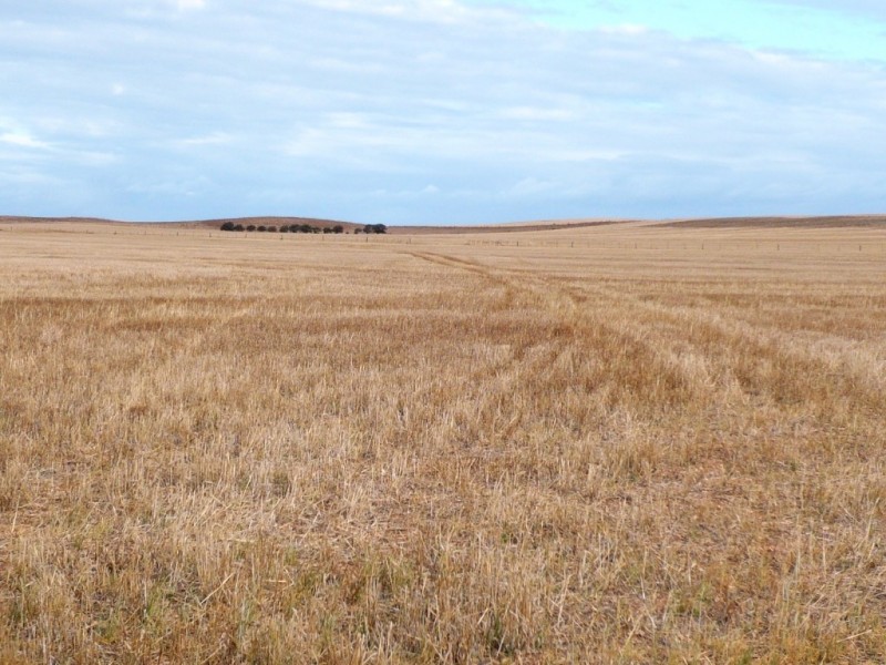 Section 118 Strathneath Rd, Alford SA 5555