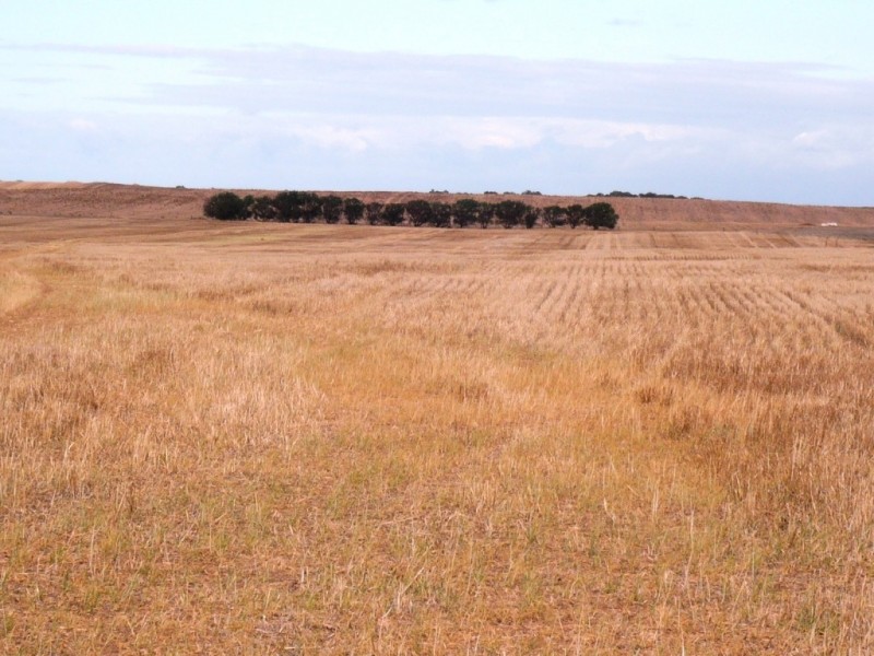 Section 118 Strathneath Rd, Alford SA 5555