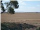 * Red Rock 880.18acs, Everard Central SA 5461