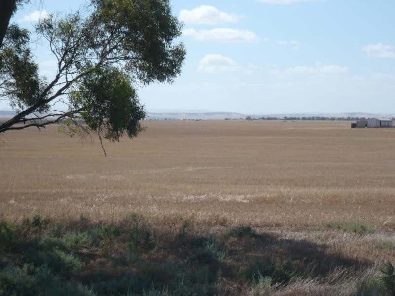 * Red Rock 880.18acs, Everard Central SA 5461