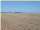 * Red Rock 880.18acs, Everard Central SA 5461