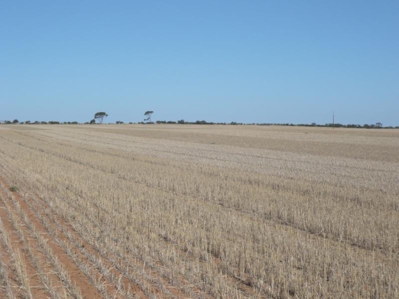 * Red Rock 880.18acs, Everard Central SA 5461
