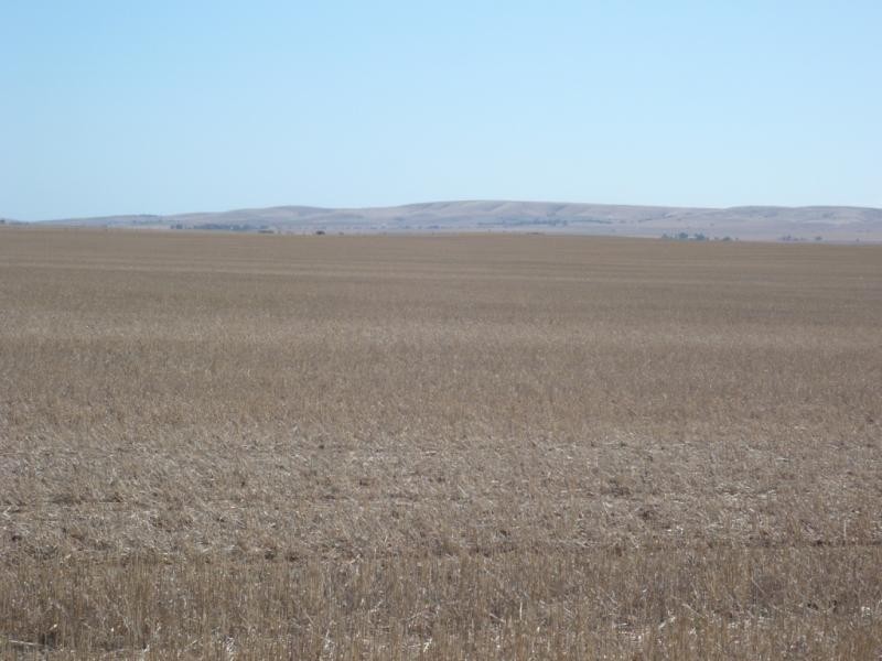 * Red Rock 880.18acs, Everard Central SA 5461