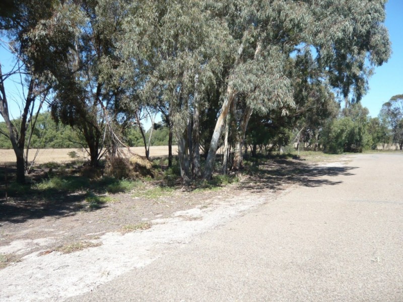 1 Sixth Street, Koolunga SA 5464