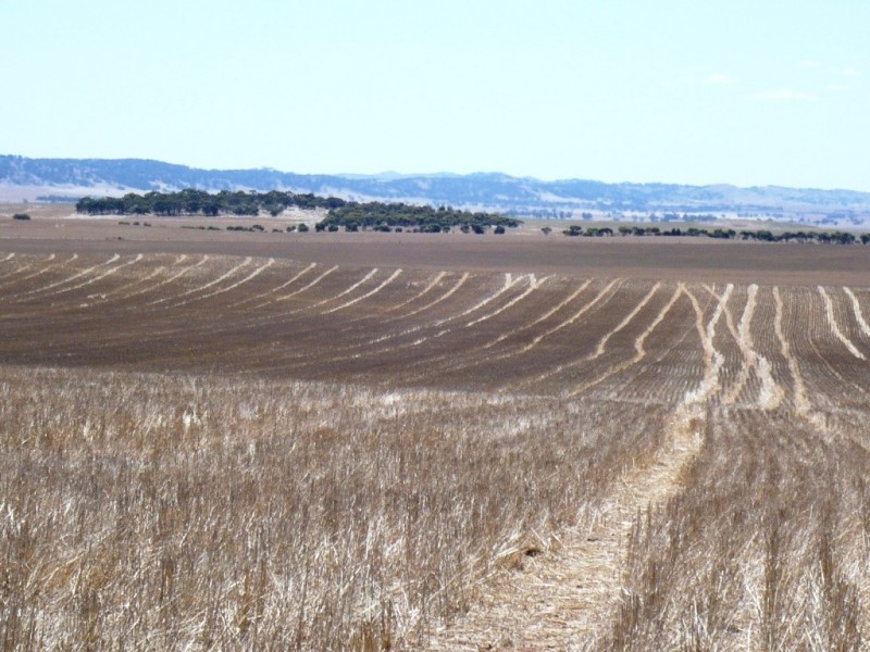 * 594.69ha Bradfield 1468acs, Jamestown SA 5491