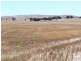 * 594.69ha Bradfield 1468acs, Jamestown SA 5491