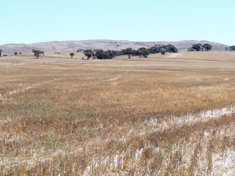 * 594.69ha Bradfield 1468acs, Jamestown SA 5491