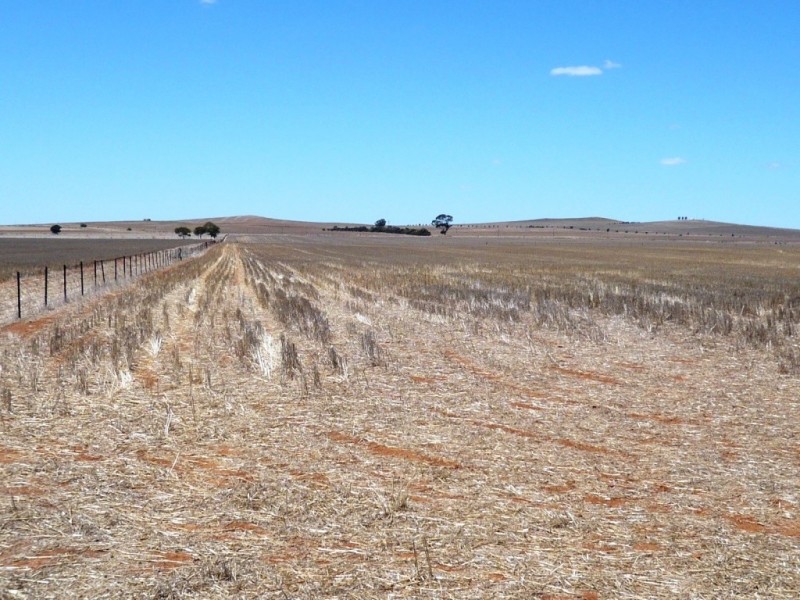 * 594.69ha Bradfield 1468acs, Jamestown SA 5491