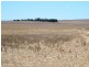 * 594.69ha Bradfield 1468acs, Jamestown SA 5491
