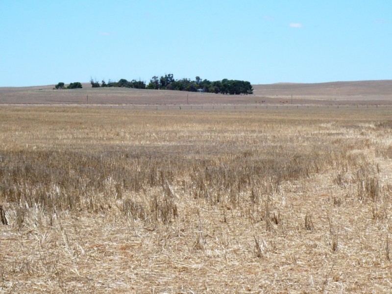 * 594.69ha Bradfield 1468acs, Jamestown SA 5491