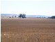 * 594.69ha Bradfield 1468acs, Jamestown SA 5491