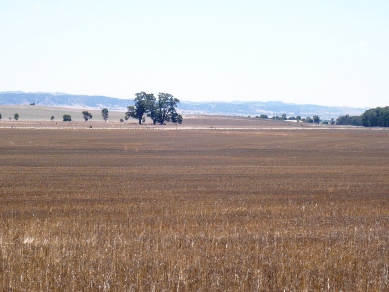 * 594.69ha Bradfield 1468acs, Jamestown SA 5491