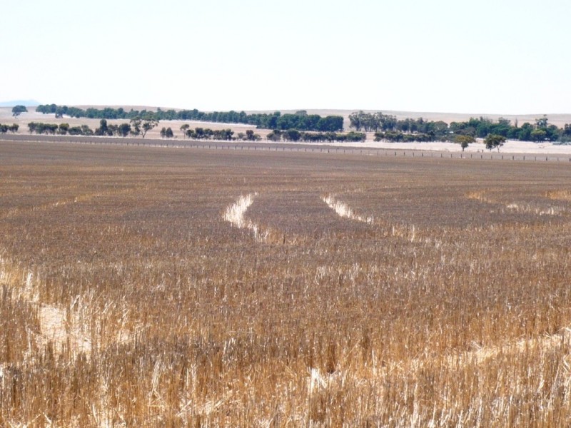* 594.69ha Bradfield 1468acs, Jamestown SA 5491