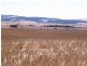 * 594.69ha Bradfield 1468acs, Jamestown SA 5491