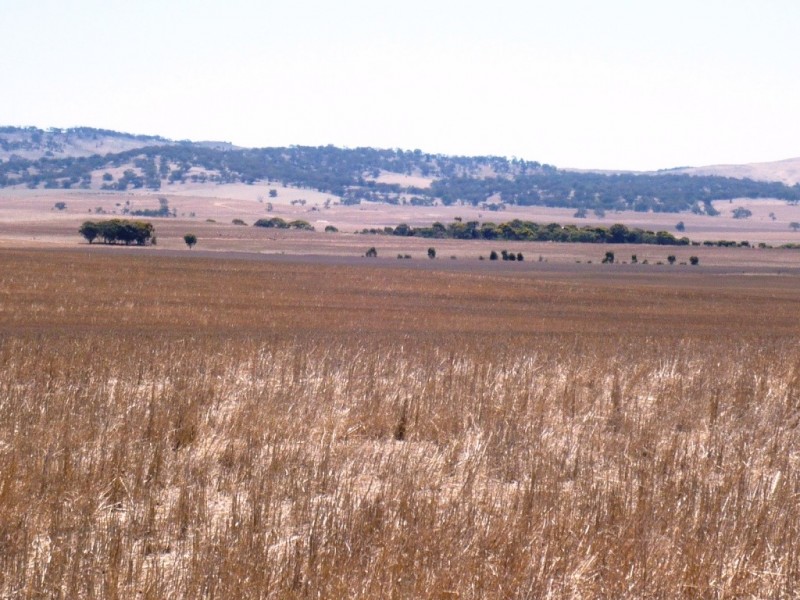 * 594.69ha Bradfield 1468acs, Jamestown SA 5491
