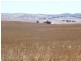 * 594.69ha Bradfield 1468acs, Jamestown SA 5491