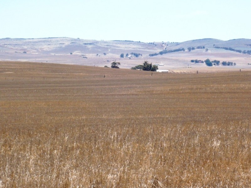 * 594.69ha Bradfield 1468acs, Jamestown SA 5491