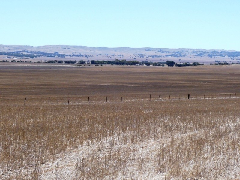 * 594.69ha Bradfield 1468acs, Jamestown SA 5491