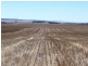 * 594.69ha Bradfield 1468acs, Jamestown SA 5491