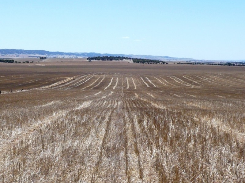 * 594.69ha Bradfield 1468acs, Jamestown SA 5491