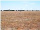 * 594.69ha Bradfield 1468acs, Jamestown SA 5491