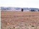 * 594.69ha Bradfield 1468acs, Jamestown SA 5491