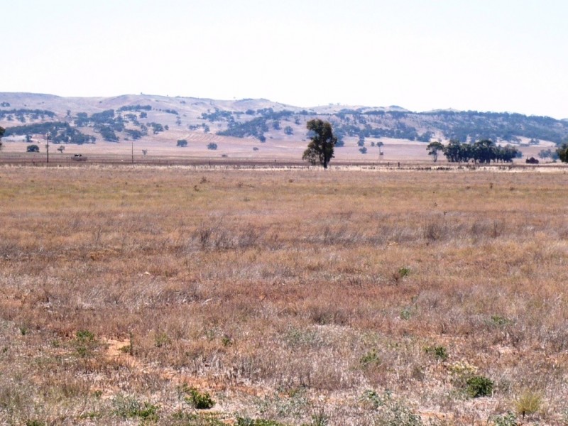 * 594.69ha Bradfield 1468acs, Jamestown SA 5491
