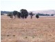 * 594.69ha Bradfield 1468acs, Jamestown SA 5491